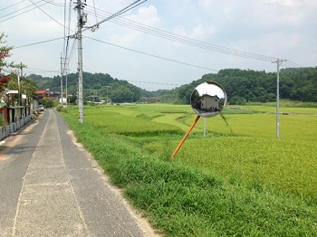 photo1.JPG