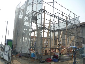 P1120195.JPG