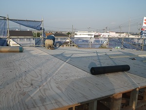 RIMG8725.jpg